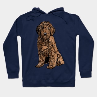 Aw a Goldendoodle Hoodie